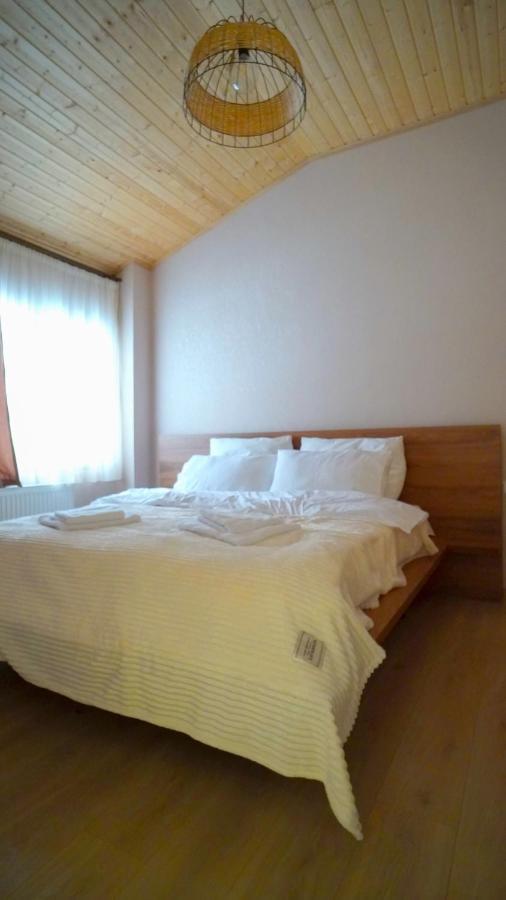 Zarku Apartments Bakuriani Ngoại thất bức ảnh